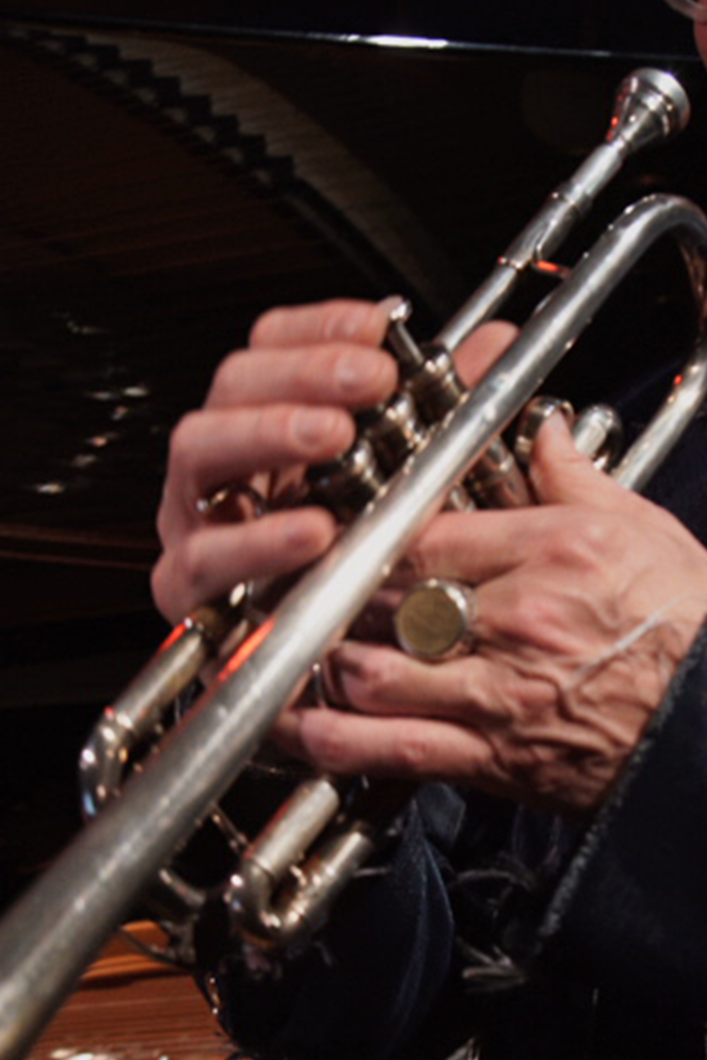 Luciano Berio's : Sequenza X
